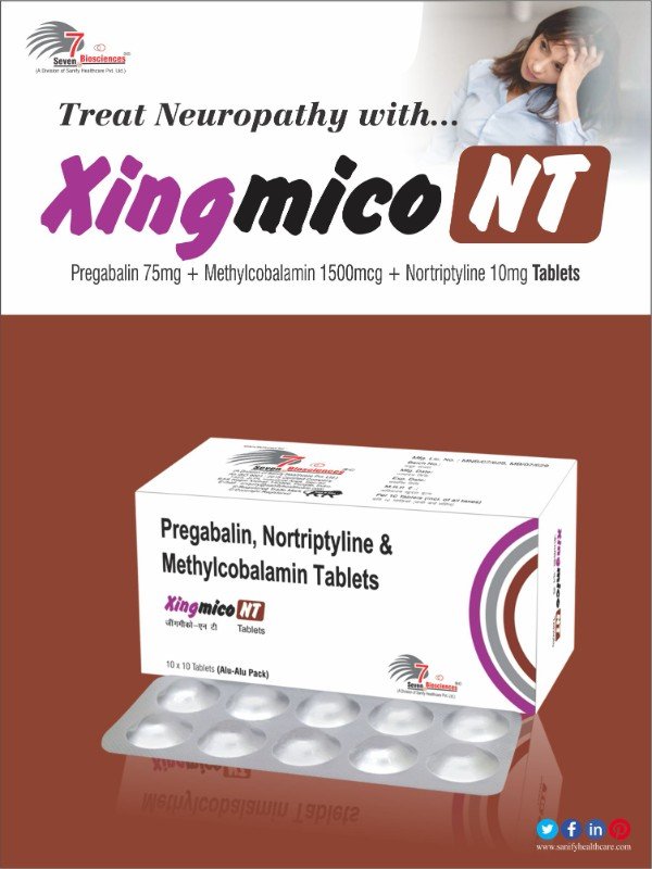 XINGmico-NT